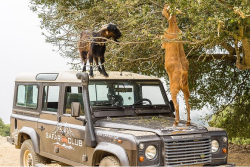 Zeus-Höhle & Lassithi-Hochebene Zeus-Höhle & Lassithi-Hochebene