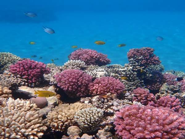 Hurghada Wetter im November